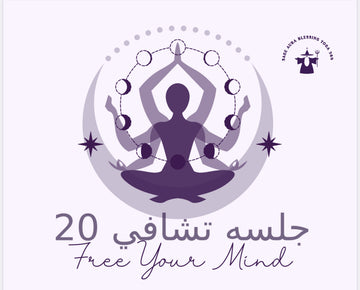 20 جلسه